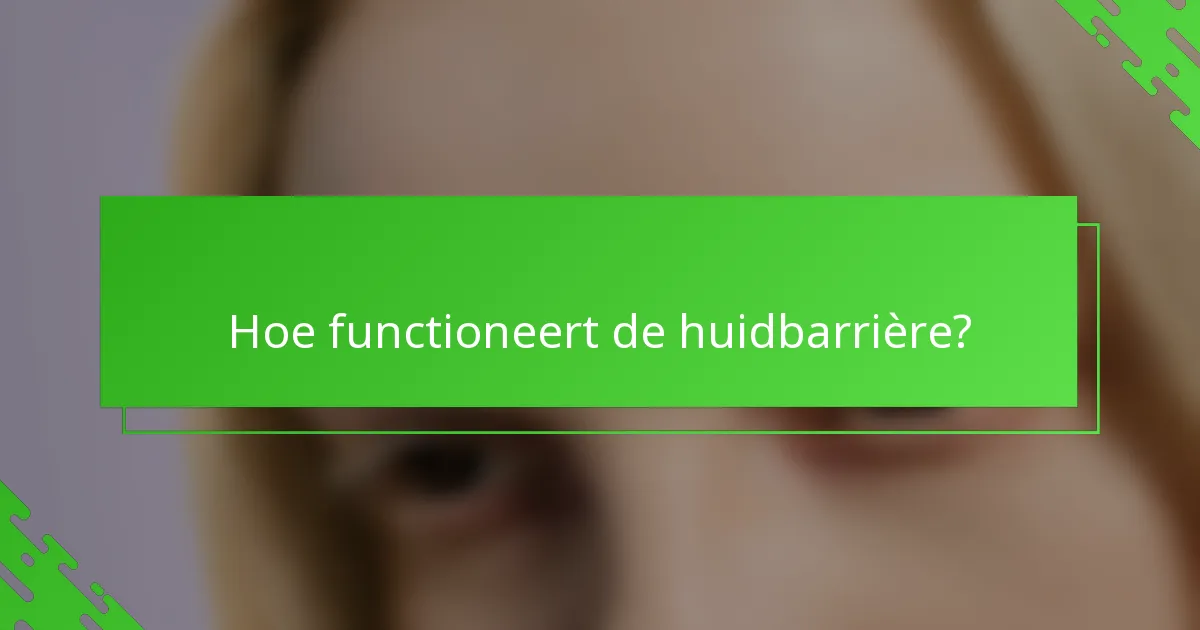 Hoe functioneert de huidbarrière?