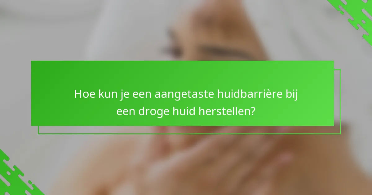 Hoe kun je een aangetaste huidbarrière bij een droge huid herstellen?